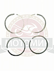 Кольца Восход нормальные (Нептун) (61,75) (Россия)