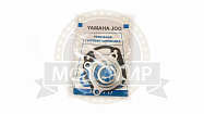 Набор прокладок ЦПГ Yamaha JOG50  (2шт)
