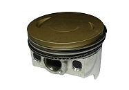 Поршень SHINERAY  VJP250-4 172FMM (кольца, палец, стопорн. кольца) (смотри каталог)