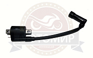 Катушка зажигания CB250 см3 Zongshen ZS 170MM-2 с проводом и свечным колпачком (100204302-0001)