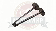 Клапан впускной/выпускной СG250 167FMM (d29/h89,5мм d34/h91мм (компл) (22020027) (НАБОР)
