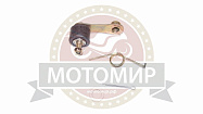 Натяжитель цепи приводной TTR125 в сборе (с роликом, с пружиной)