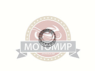Подшипник 32005 (25x47x15) передней вилки рулевой  Fighter125 (2007105)