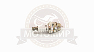 Свеча STL WSR6F (WS7F) короткая мотокоса
