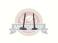 Клапан впускной/выпускной CGB200 (22020013+22020014) (НАБОР)