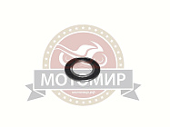 Подшипник 180106 (30x55x13) закрытый резиной (6006 2RS) вилки маят. BEORN 200 (Импорт)