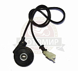 Редуктор спидометра электронный скутер ARC (084)