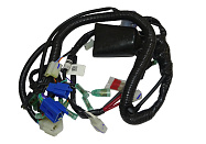 Проводка центральная в сборе TVS HLX 150 (N5161030)