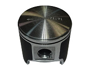 Поршень Тайга 500 (Molykote) Россия