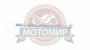 Ось вилки маятника (D12мм, М12*1.5мм*260мм) RACER RC250GY-C2 PANTHER L00PZ084
