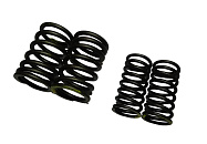 Пружина клапана 1P54 ATV BRAVO (2 бол+2 мал) (1040028-005-0000+1040027-005-0000)
