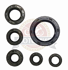 Набор сальников двигателя LF163 FML-2MP (6 шт)