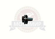 Болт М8*25мм + 2 шайбы (гровер+шайба М8) (крепление ведомой звезды) на Лидер Болт М8*25мм + 2 шайбы (гровер+шайба М8) (крепление ведомой звезды) на Лидер