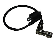 Катушка зажигания 169 FMM, TUNGUS 250 дви (101009)