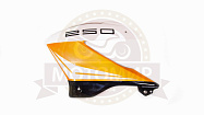 Облицовка бензобака левая Racer RC250GY-C2 PANTHER PC21C350