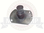 Эксцентрик Муравей