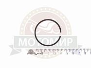 Кольцо поршневое Бензопила Дружба импорт