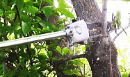 Насадка-высоторез FORESTERS на триммер (мини-цепная пила на штанге к триммеру) Насадка-высоторез FORESTERS на триммер (мини-цепная пила на штанге к триммеру)