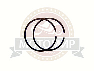 Кольцо поршневое мотокоса CHAMPION Т434 зам на 4301049 (149-0397-430) Кольцо поршневое мотокоса CHAMPION Т434 зам на 4301049 (149-0397-430)